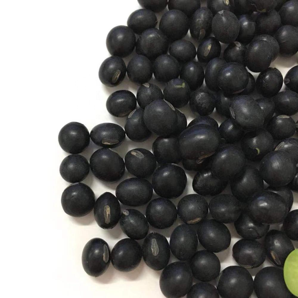 Wholesale Bulk 25kg per Bag  Black Soybean Seed