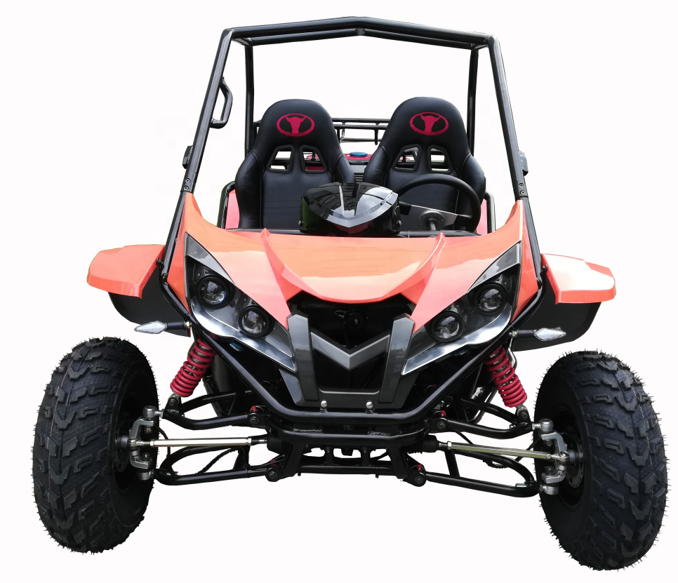 RENLI EPA 200cc 4x2 Багги atv go kart