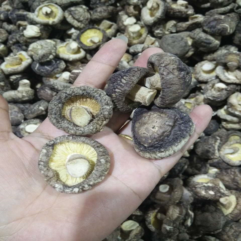 Dried shiitake mushroom