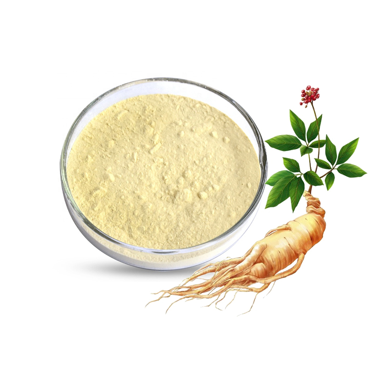 Оптовая цена купить экстракт корня женьшеня Ginsenosides 20%