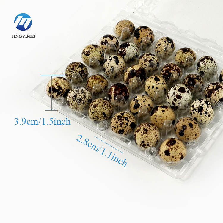 Plastic Quail Egg Cartons Clear Quail Plastic Cartons for 30 Holes High Quality Transparent Egg Tray