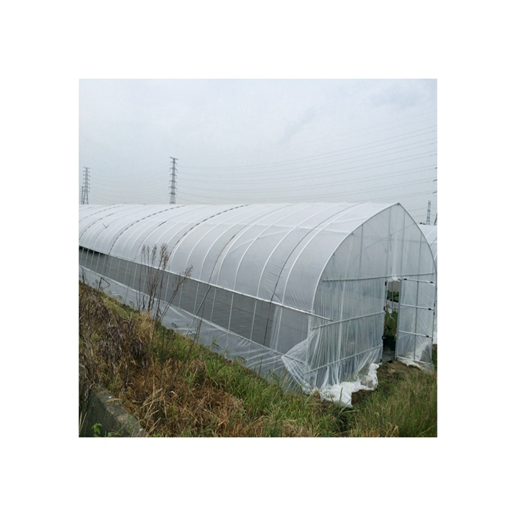 Factory Directly Supply Solar Commercial Green House Greenhouse Structure