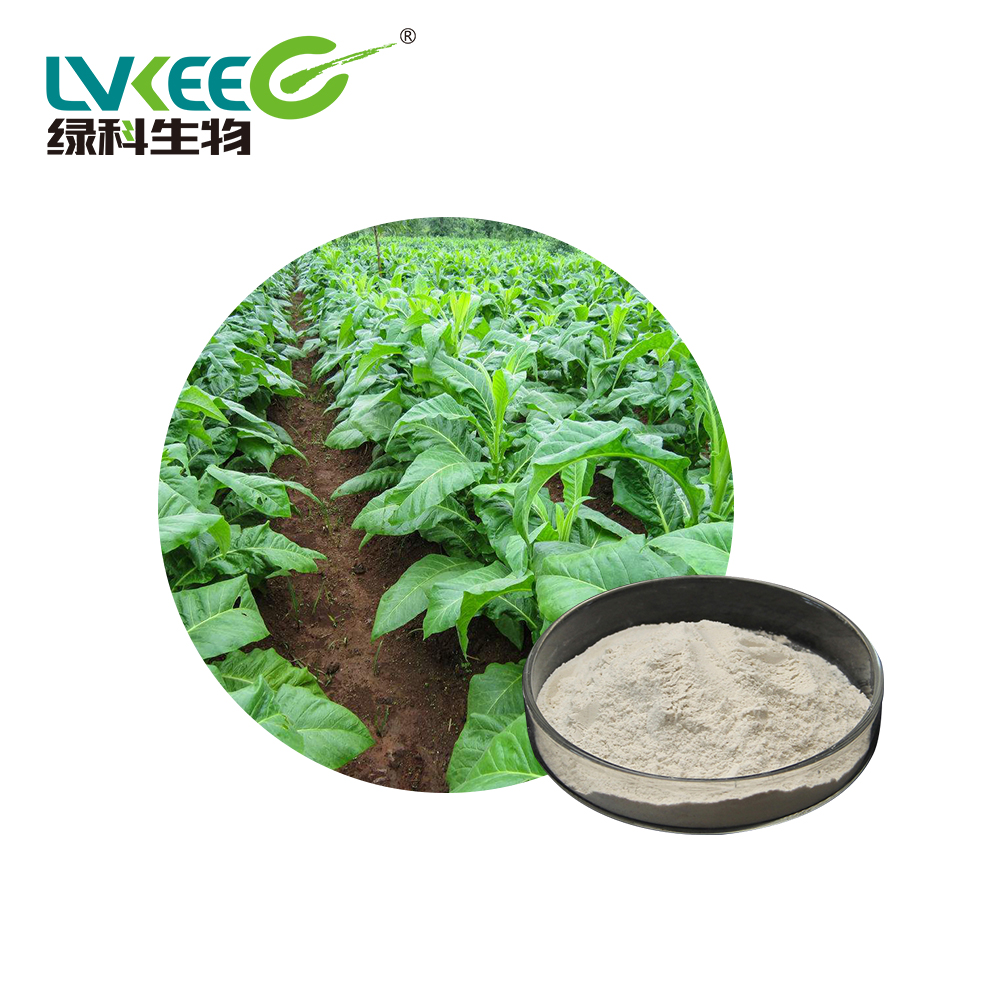 Порошок для биоброжения Bacillus Licheniformis 100BL для сельского хозяйства Lvkee