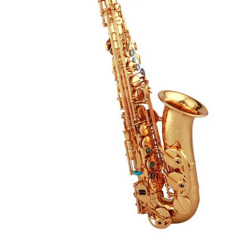 Taishan Musical Instrument 5000 Eb Alto Saxophone With Gold Lacquer