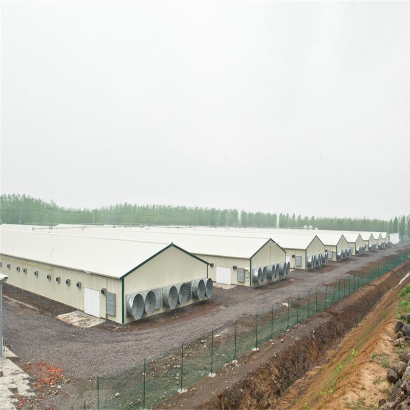 Куриный дом птицеводства сарай/птицы слой куриные дома на продажу в кенийском