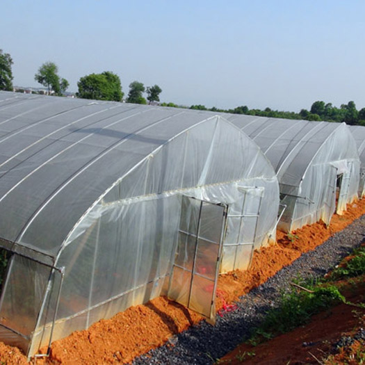 Fuma High strength Agricultural poly tunnel Green House/tomato greenhouse for sale