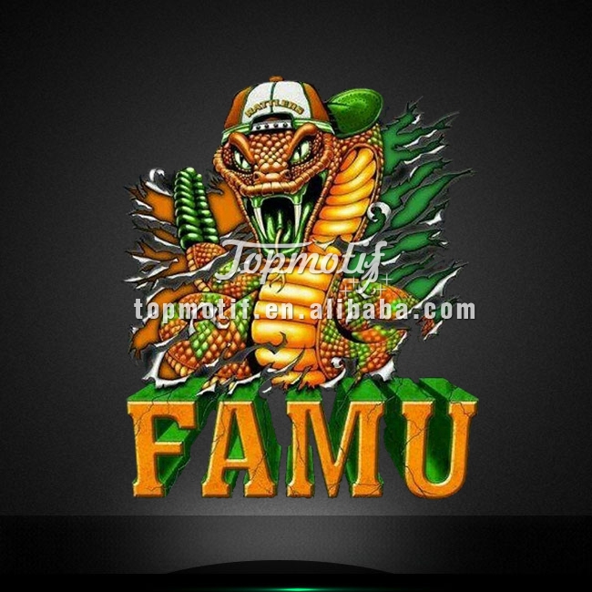 Виниловая Термотрансферная футболка famu с принтом