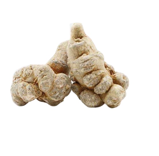 Чистый китайский трав оптовые поставки сырой псевдо-женьшень notoginseng корни