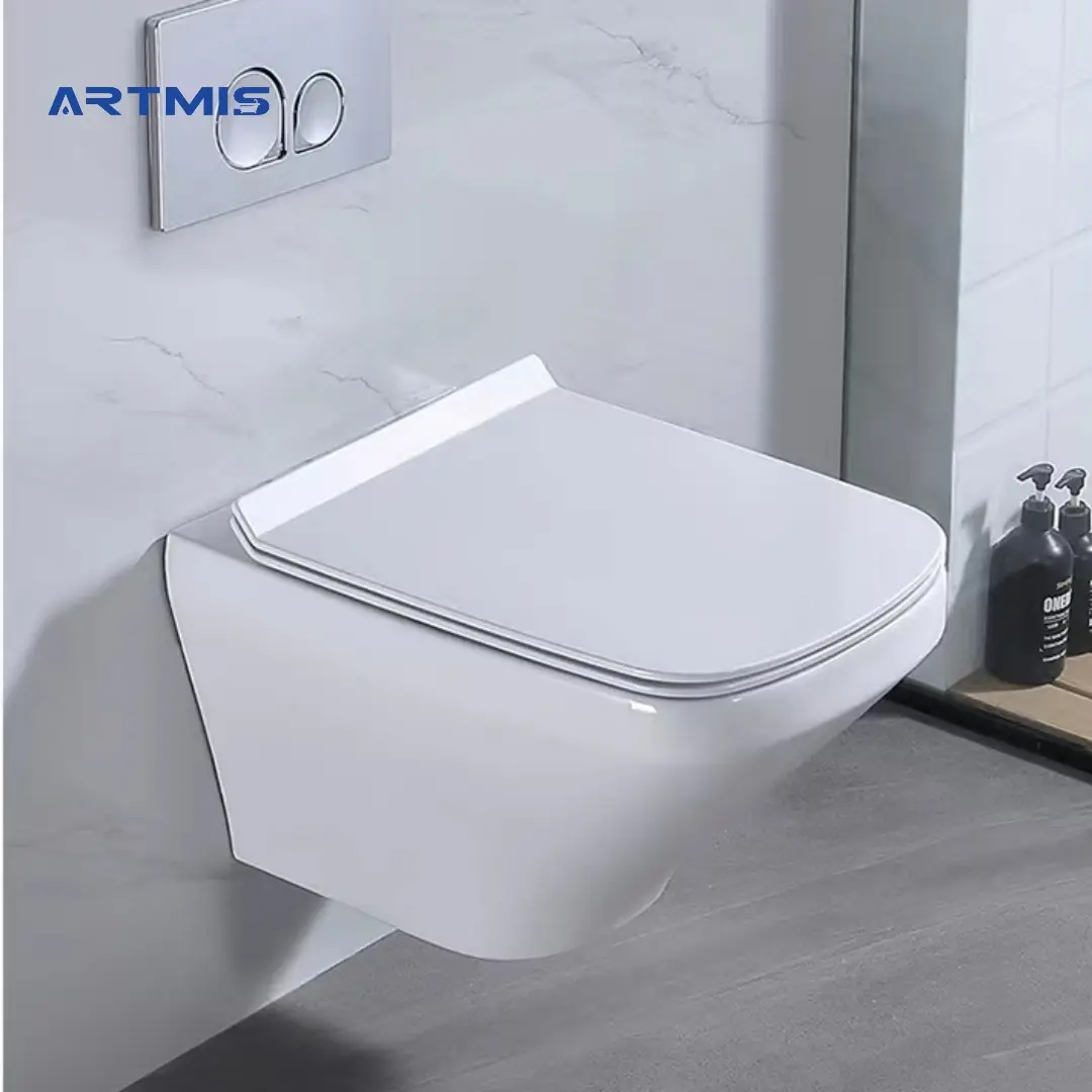 Superior Quality Factory Supplier high end european standard two piece bathroom ceramic wall hung toilet