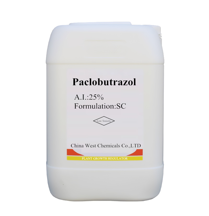 Растительный регулятор роста фруктового манго Paclobutrazol 25% SC