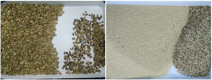 Mini multi-purpose rice grain coffee beans color sorter machine cashew pistachio optical sorting and grading machines