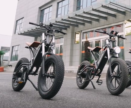 electric bicycle like motorcycles youken um model with PAS  20 inch 4.0 fat tire 350W/500W/750W electric bicycle for adults