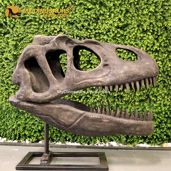 MY DINO DS026 Indoor Playground Decoration Fiberglass Allosaurus Head Fossil