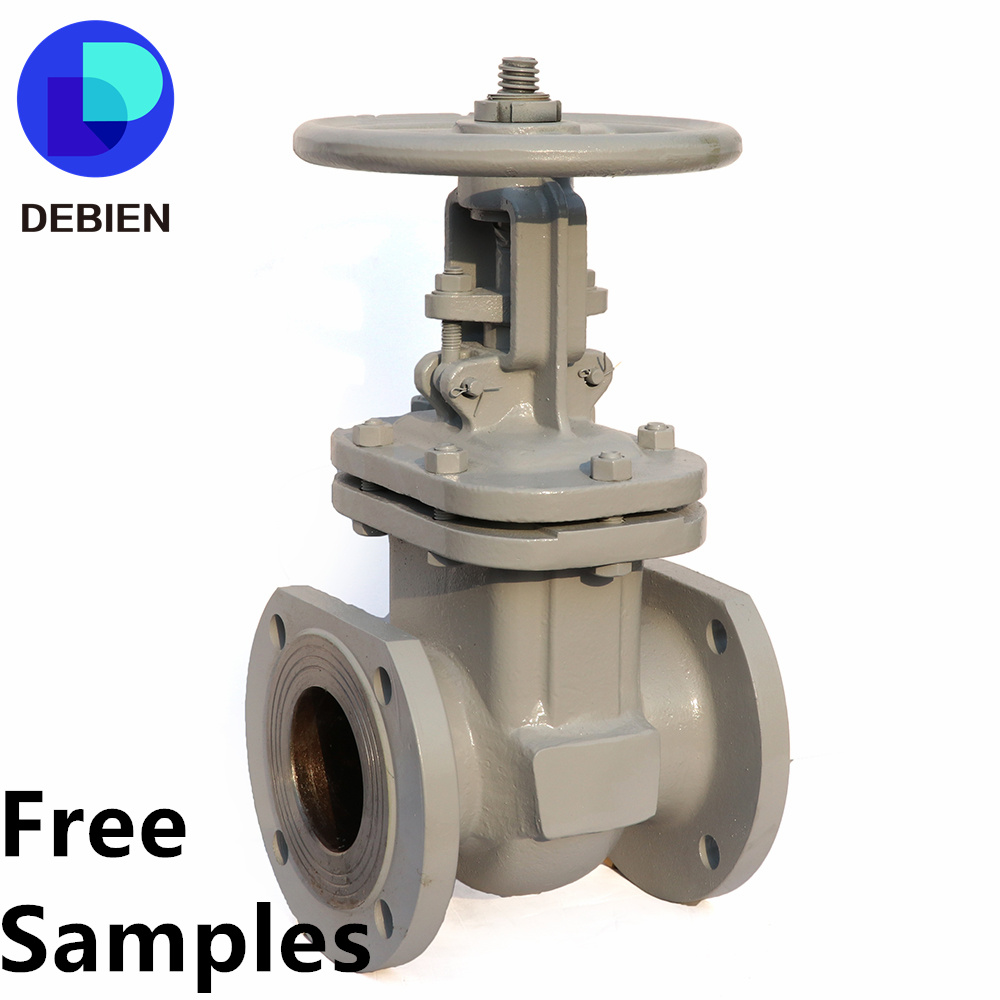 DEBIEN GOST russian standard riser rod low price industri flow control stainless carbon iron steel flange gate valves