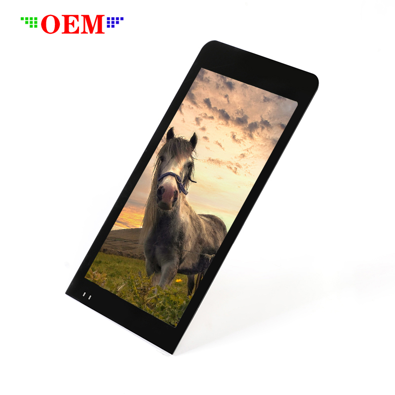 10,1 ''TFT ЖК-дисплей с разрешением 800(RGB)x1280 графический дисплей для MID и планшета