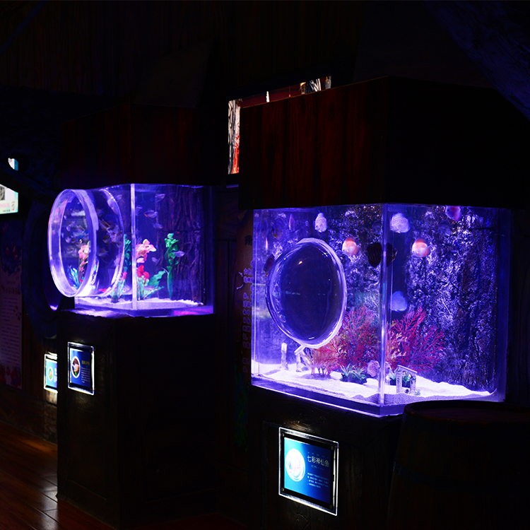 Manufacturer Direct Sale Good Price Large Fish Tank,Clear Acrylic Betta Fish Tank Aquarium@