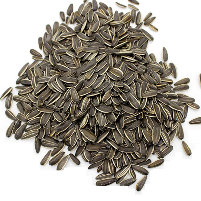 Best Quality Pure Natural Black Original Flavor Sunflower Seeds