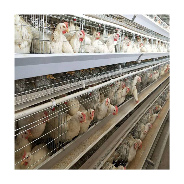 Новый продукт 2020, низкая цена, оцинкованный слой, клетка для цыплят, высокое качество, 3 яруса