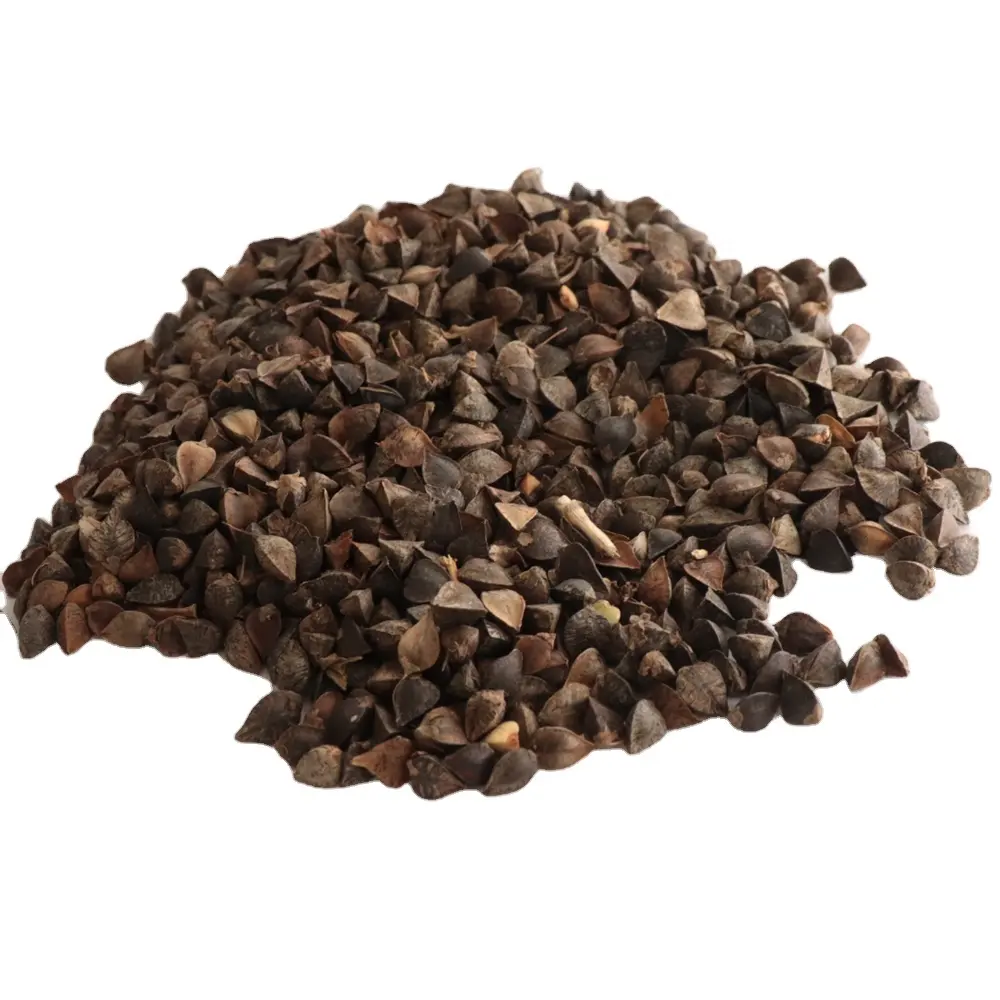 High quality brown sweet buckwheat with shell wensha type price