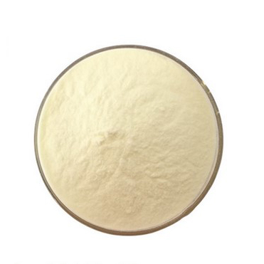 Бактерии почвы, микорриза, Bacillus megaterium