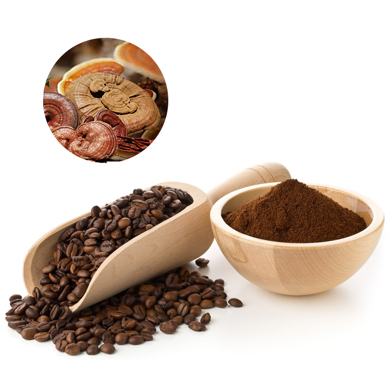 Premium Coffee OEM High Quality Coffee 100% Organic Arabica Coffee Beans For Drinking With Medicinal Mushroom Extract Mix
