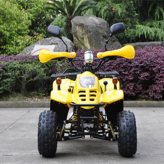 50cc мини детский квадроцикл ATV с Агентства по охране окружающей среды