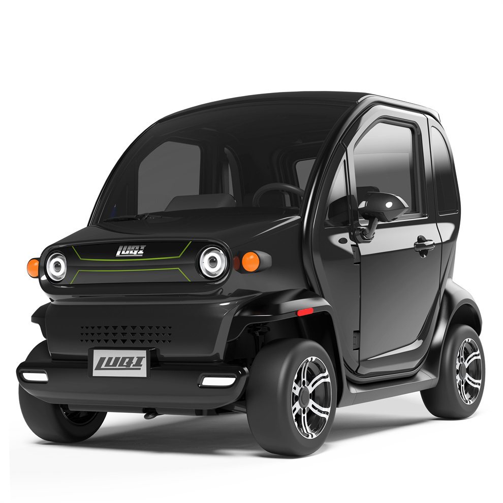 3000w High Power Adult Electric Car With High Speed