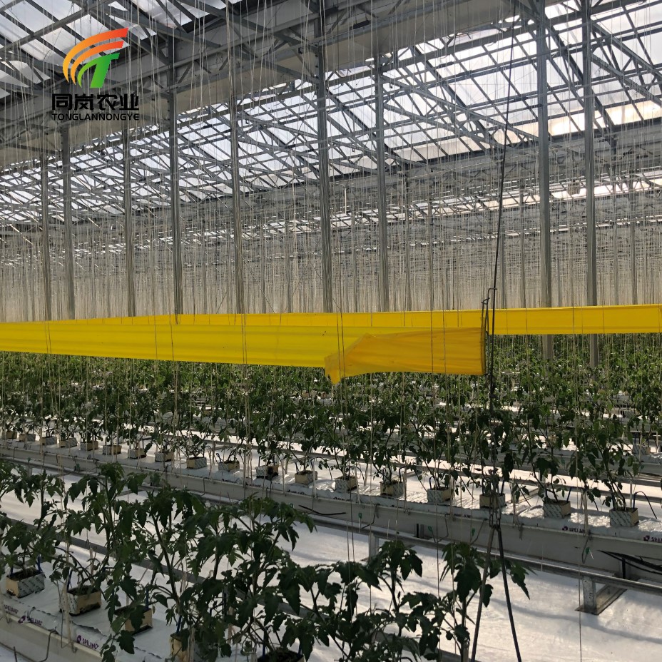Низкая цена, Тепличный комплект Glasshouse с прожекторным лотком, система Nft для саженцев клубники, заводская цена