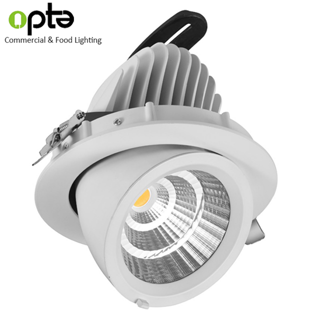 meat market fresh food pink color rotatable adjustable LED 30W 40W gimbal downlight for food lighting
