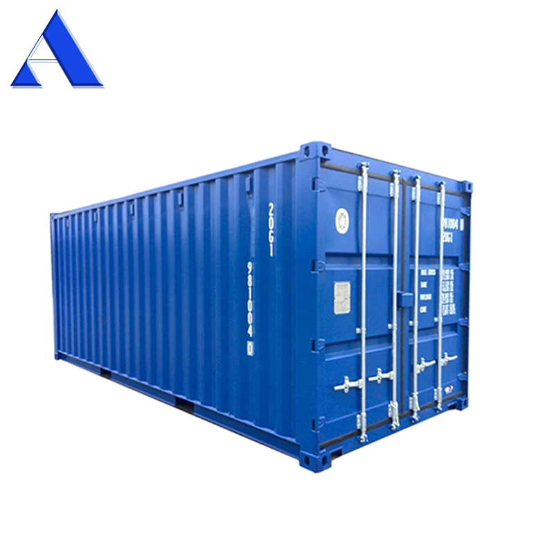 Professional Supply CSC Certified Sea Worthy One Trip New 20ft Dry Shipping Container