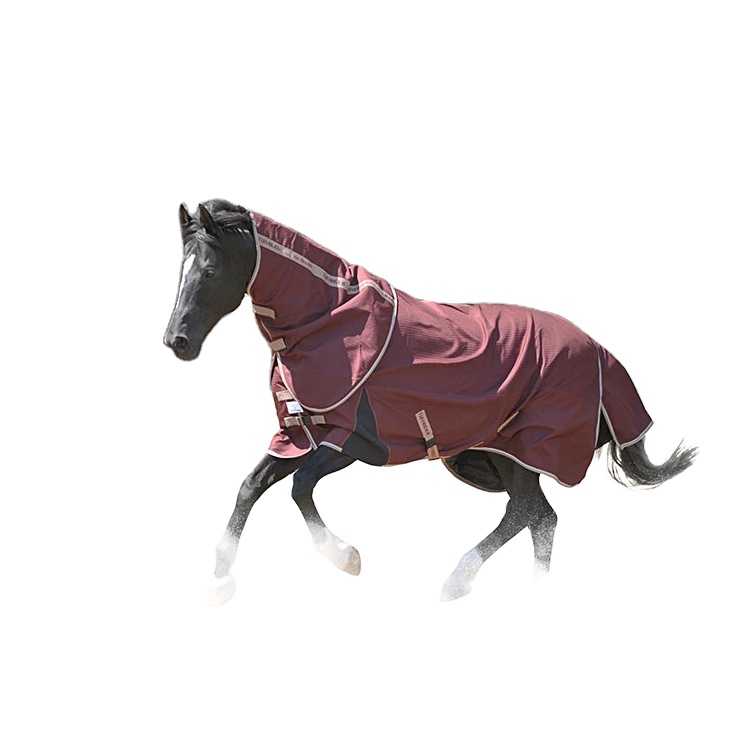 Hot Sale Horse Equipment Cotton Equine Products Breathable Combo Stable Horse Blanket