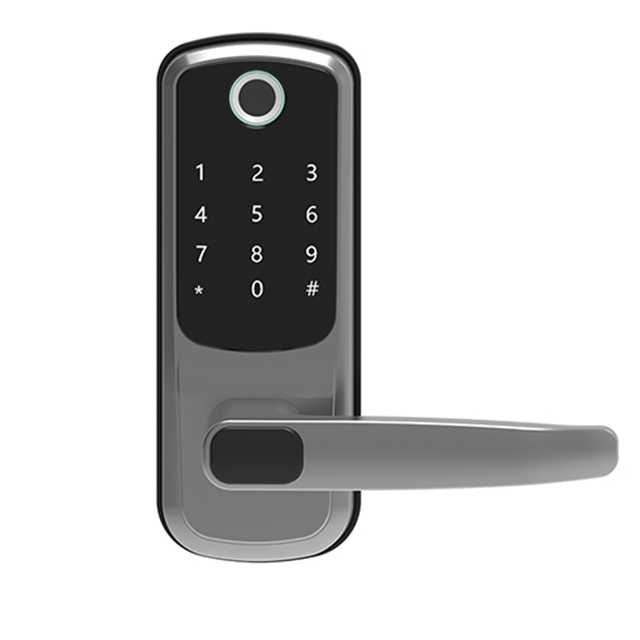 Дверной смарт-замок Tuya/Smart life, со сканером отпечатков пальцев, USB-зарядка, быстрая разблокировка
