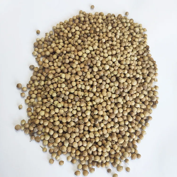 Chinese Black Coriander Seeds For Sale