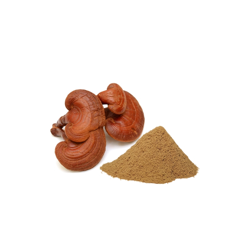 Organic Reishi Ganoderma Extract Powder 50% Polysaccharide   4% Triterpene Support OEM  ODM
