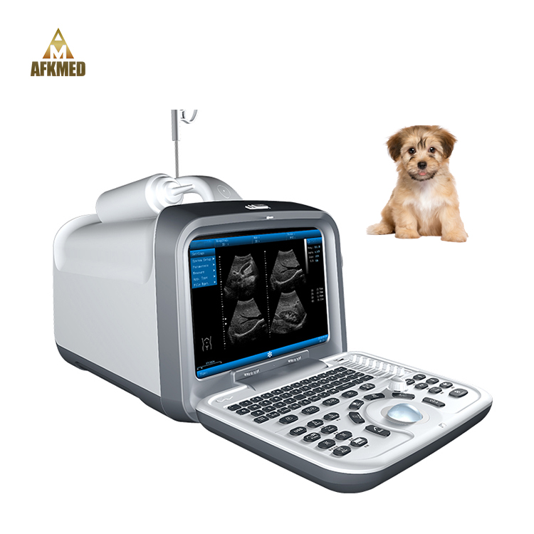 Best Quality 4D Color Portable Doppler Veterinary Ultrasound for Animal