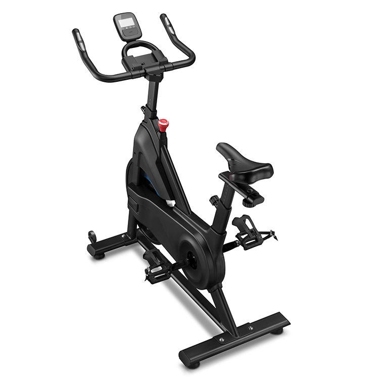 Wholesale High-quality Customized Home Fitness Bodytrain Weighted Exercise Bike
