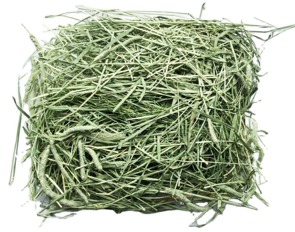 Timothy Hay for Sale Horse Feeders