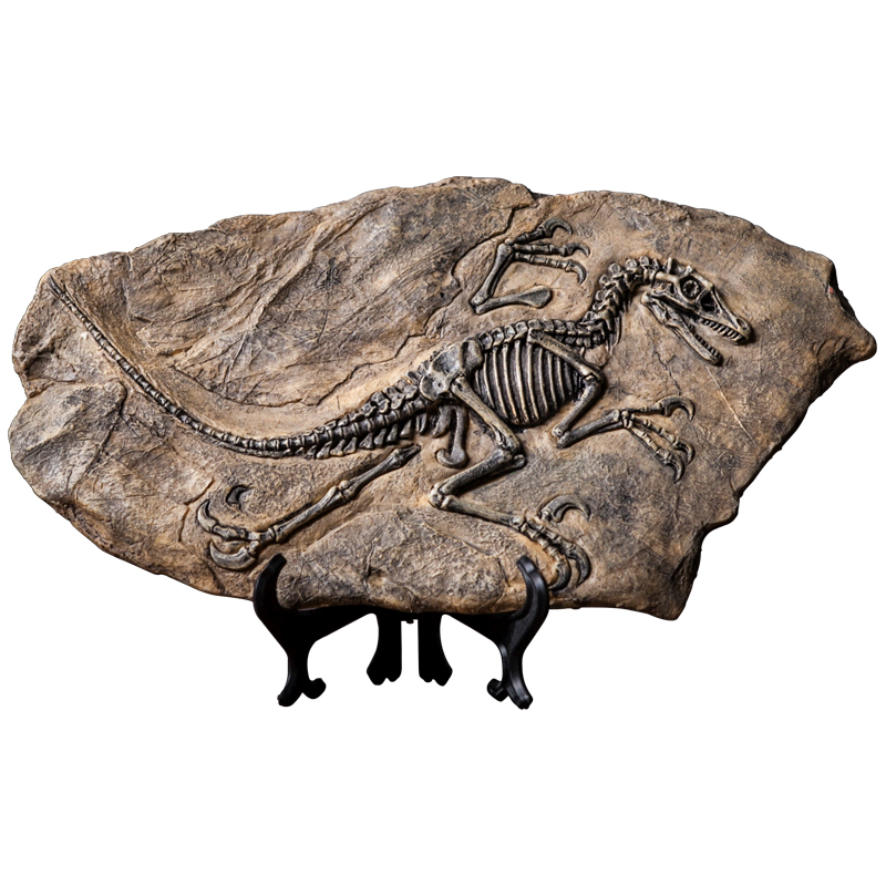 Customized dinosaur fossil statue resin crafts artificial sculpture room desk decoration figurines ornaments