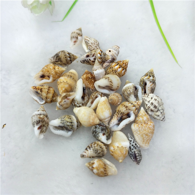 Натуральное ремесло 1 см пляжные морские раковины Cowrie Декор раковины ручной работы Diy материал