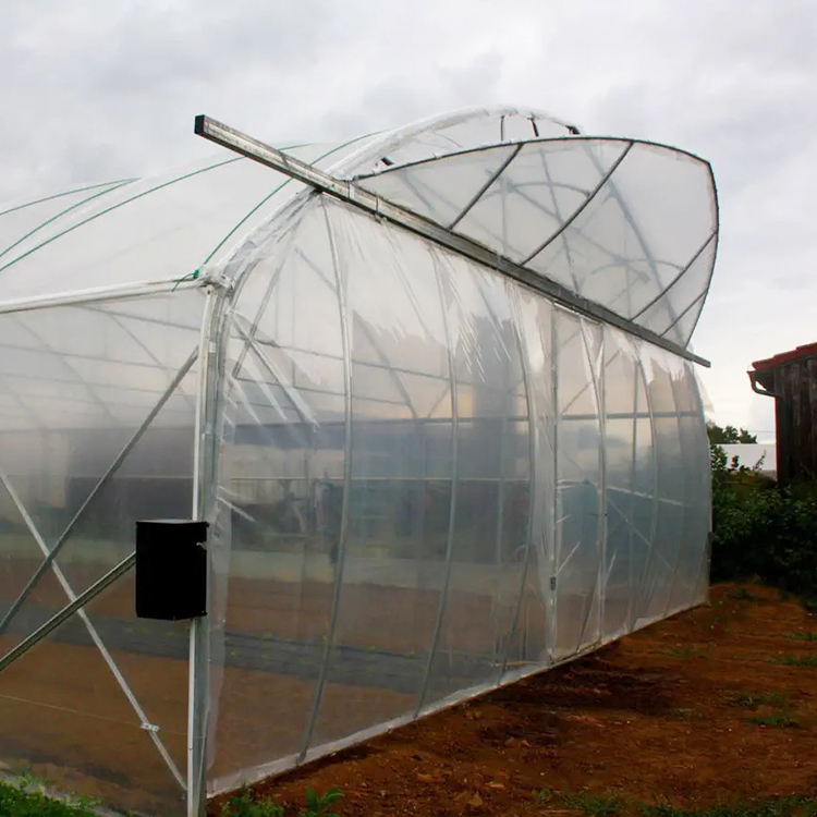 High tunnel single span tomato hydroponic system low cost plastic greenhouse agriculture