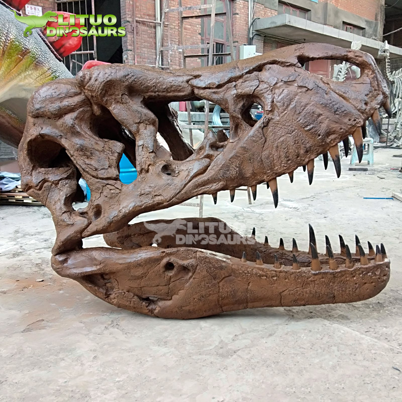 Тематический парк, популярный череп динозавра T Rex Dig