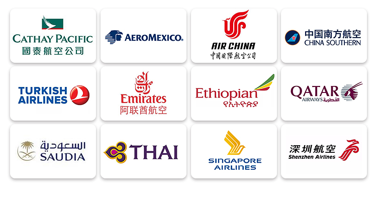 FCL sea freight agent door to door shipping service to Zambia Angola Namibia South Africa Madagascar Mosbik, Mauritius