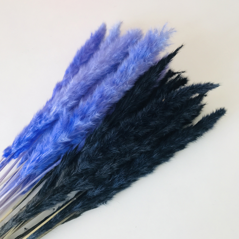 Ins Most Popular Natural Touch Black Mini 15 Pcs Pampas Grass Small Dired Flower For Home Wedding Decoration