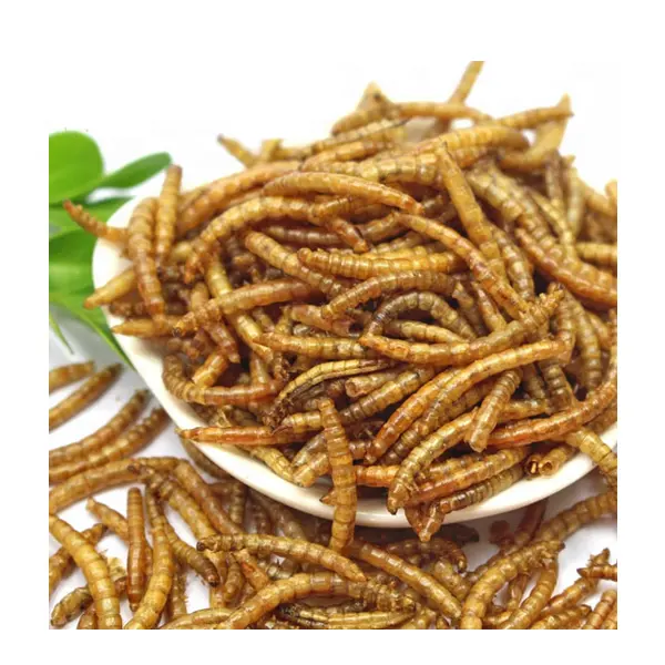 OEM factory Natural Organic High Nutrition Pet Food dry mealworms for pet
