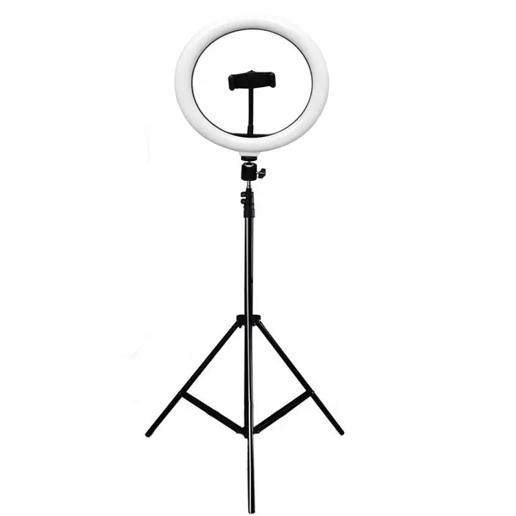 hot selling 12 inch Tiktok Photographic Selfie Led Ring Light With Tripod Stand