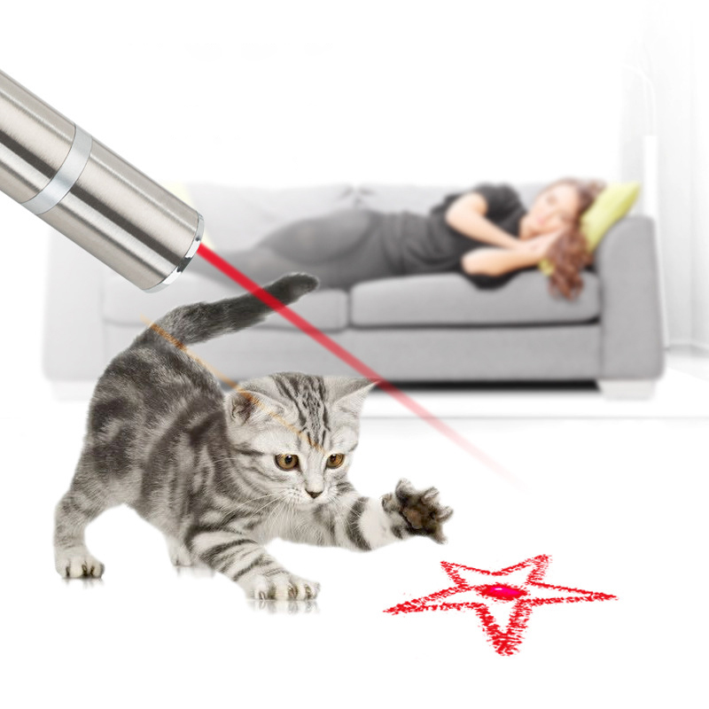 Игрушки для кошек, Чейз за ловлением, отлично подходят для котят, интерактивные игрушки для тренировок и упражнений, приносит кошкам и собакам бесконечное удовольствие