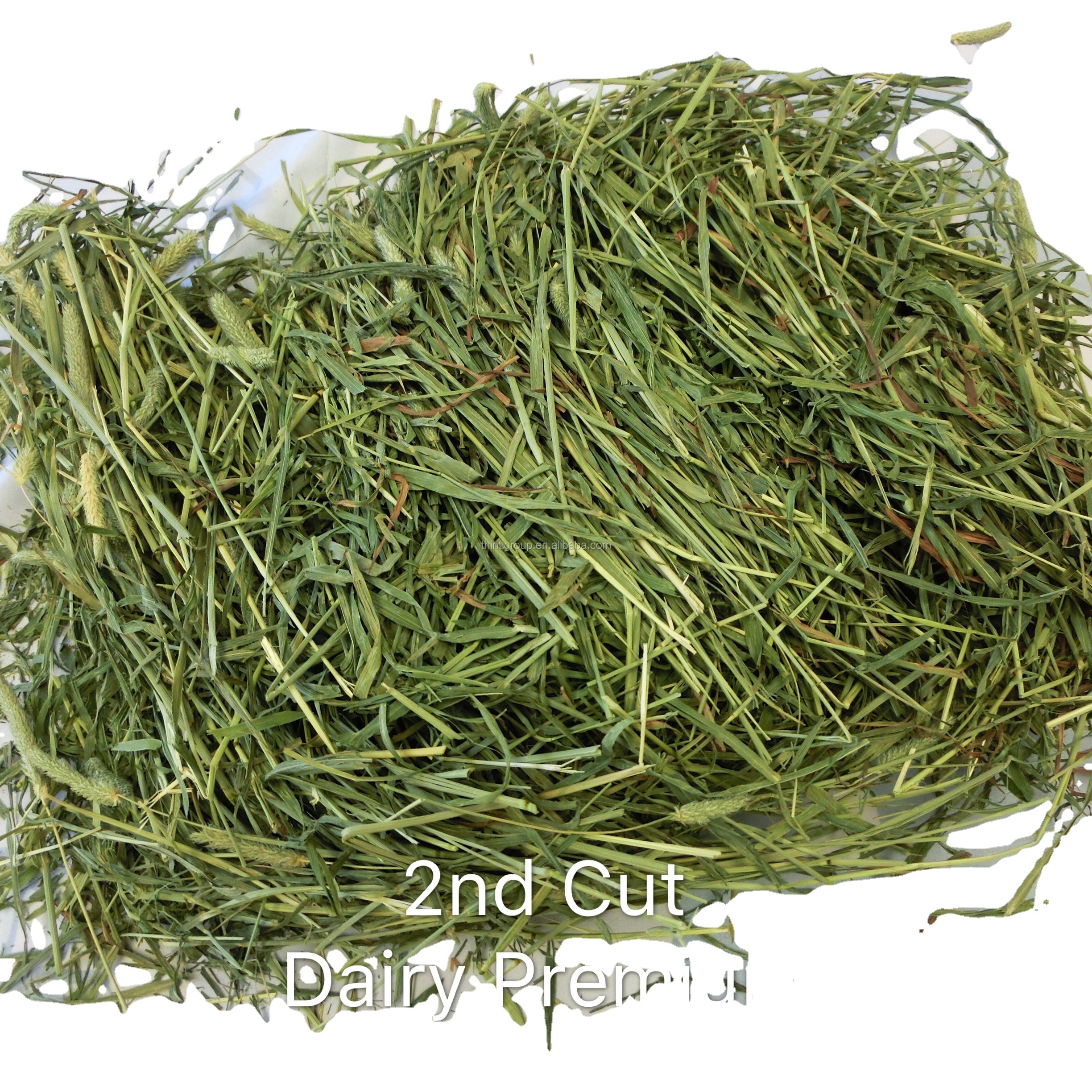 Good American Timothy Hay Cattle Horse Pets 2nd Cut Dairy