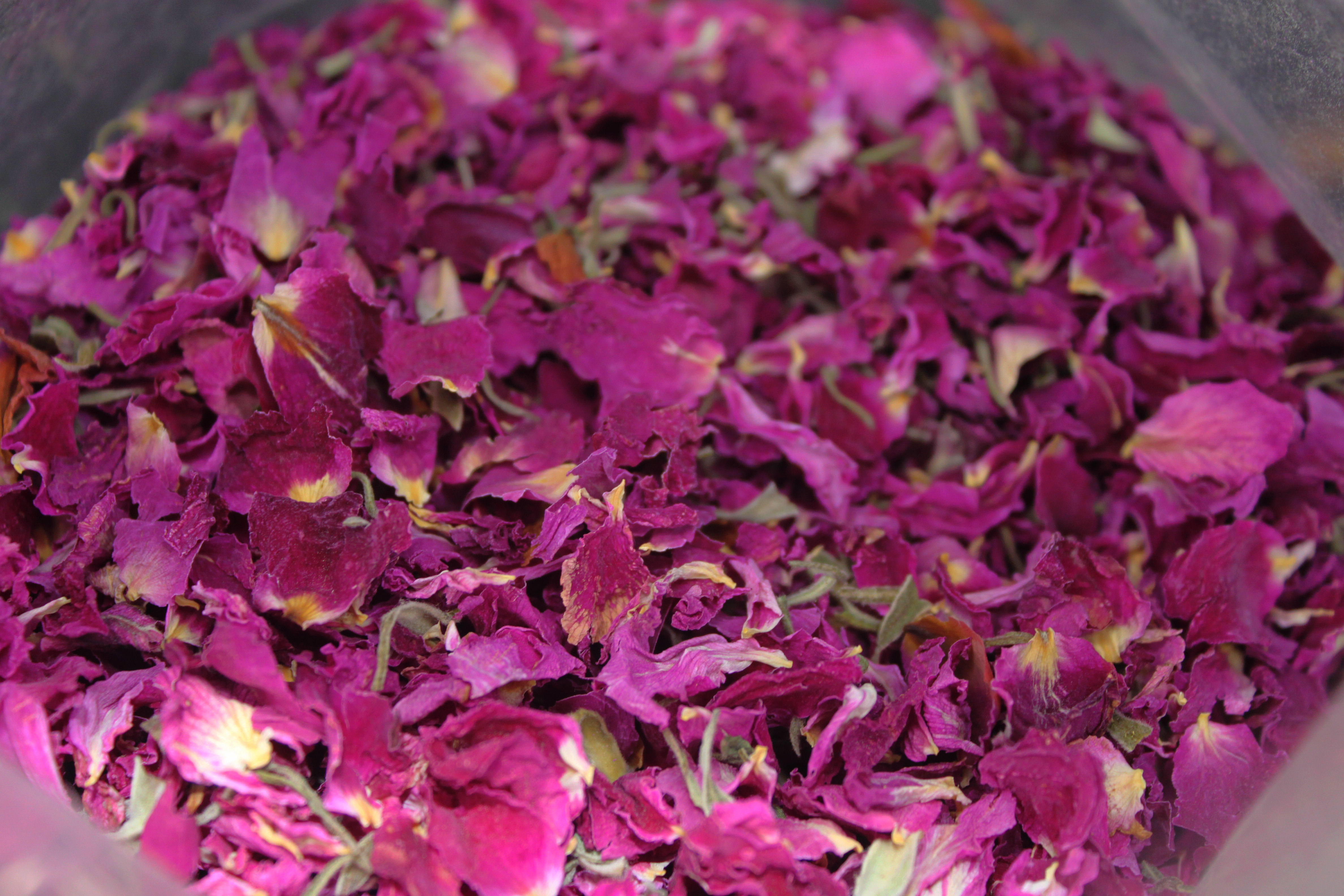 Dried Rose Petals Factory Supply High Quality Dried Rose Buds Petals Rose Flowers For Tea