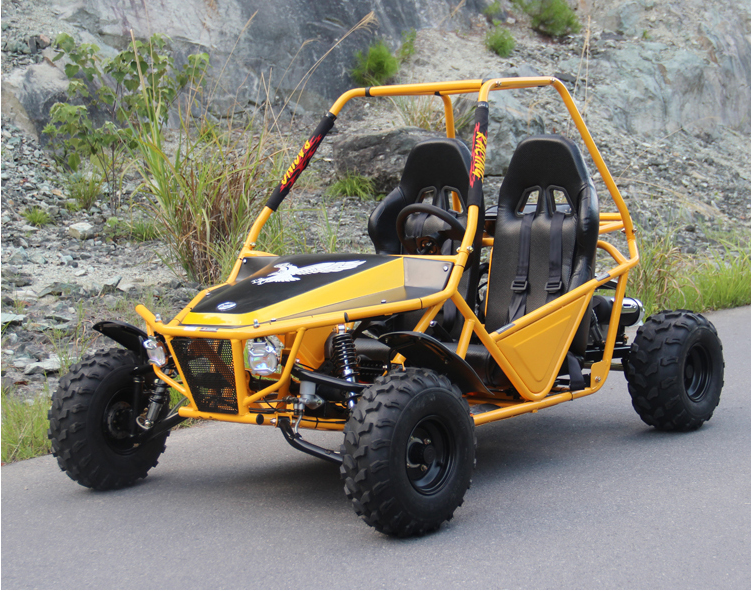 Новейшая уличная багги/багги 4x4 на 2 места для взрослых