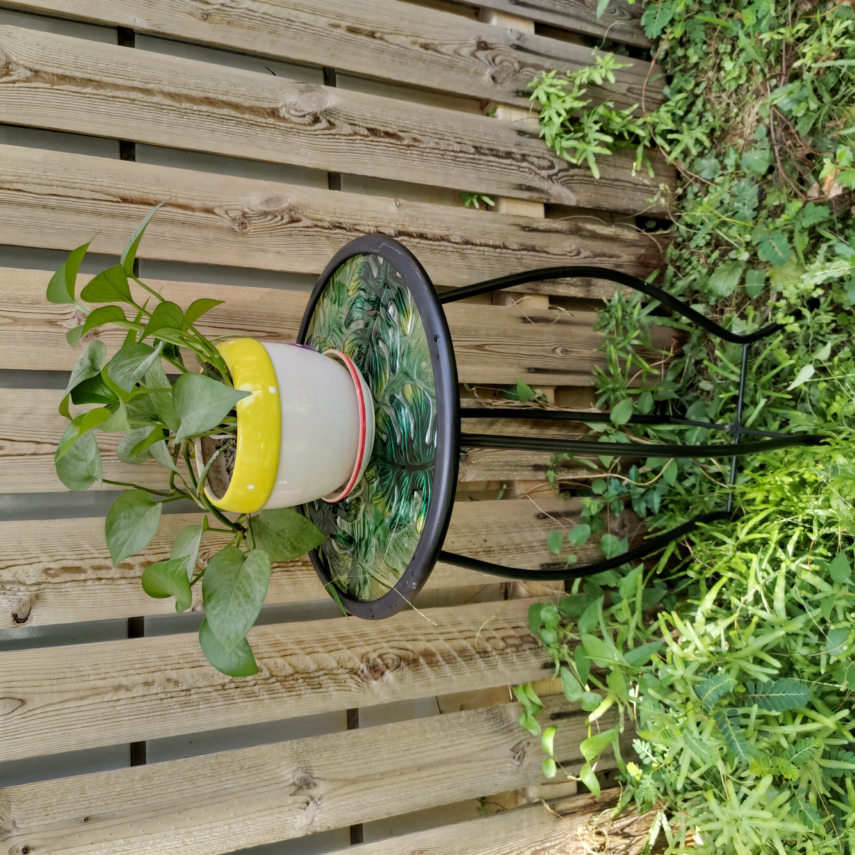 12 Inches Garden Round Shape Tropical Green Fern Indoor And Outdoor Hand-painting Glass Plant Stand